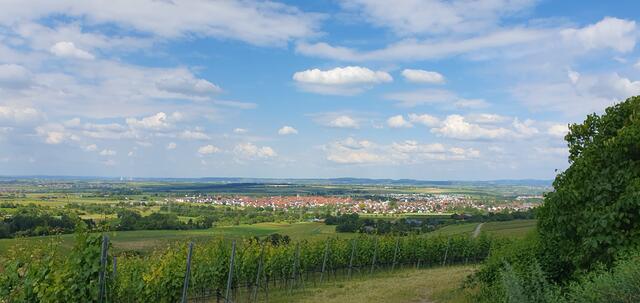 Foto: privat Sibylle Tröber