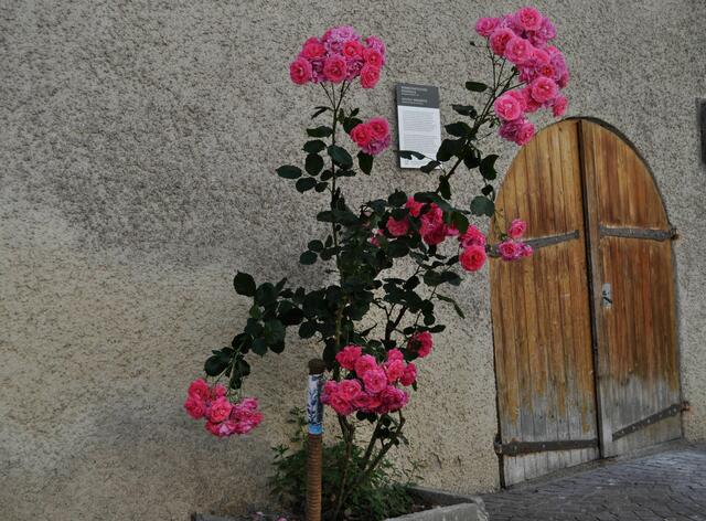 Im Lauffener Städle sieht Vieles noch sehr urig aus. | Foto: Daniela Somers
