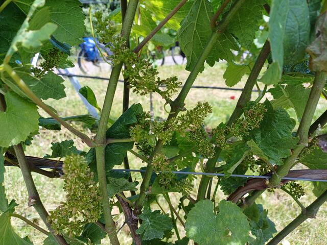 Foto: privat Monika Brunnhuber und Sibylle Tröber