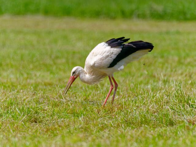 Foto: Eigenes Bild TB