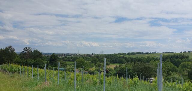Foto: privat Sibylle Tröber