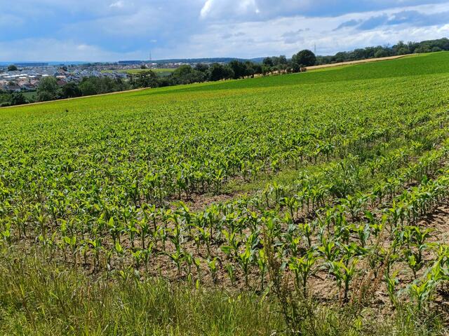 Foto: privat Monika Brunnhuber und Sibylle Tröber