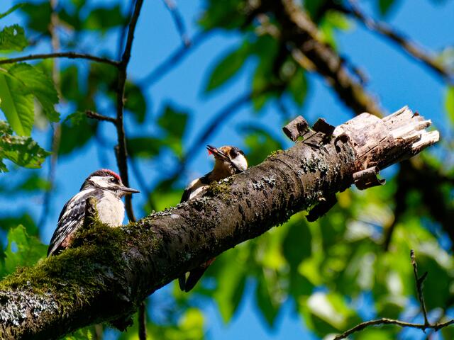 Foto: Eigenes Bild TB