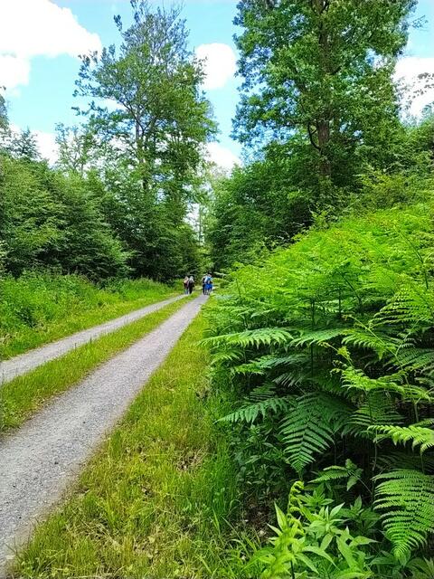 Auf der letzten Etappe geht's länger bergauf. Von "Winterhauch" ist nichts mehr zu spüren - wir kommen ziemlich ins Schwitzen. 
Am Ende unserer Wanderung fahren wir nach Mosbach ins Brauhaus. Ein schöner Abschluss 😊.  | Foto: sigischlottke