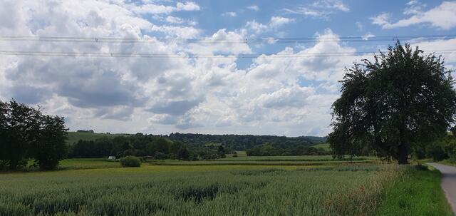 Foto: privat Sibylle Tröber