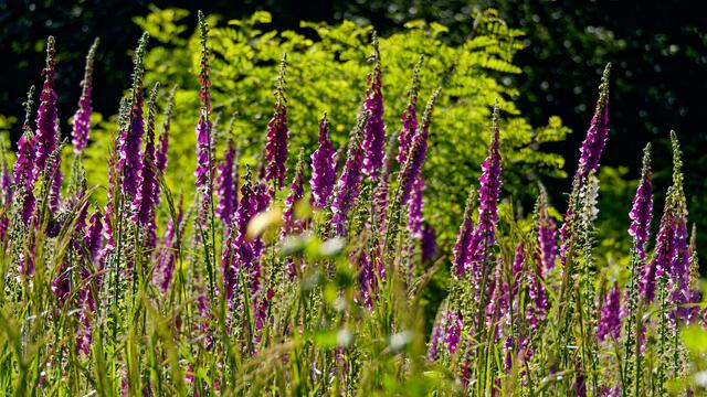 Foto: Eigenes Bild TB