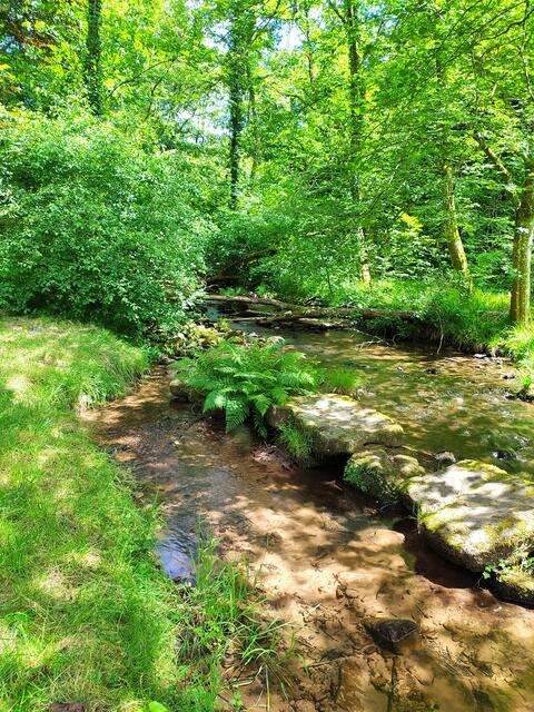 Sieht das nicht herrlich erfrischend und idyllisch aus?  | Foto: sigischlottke