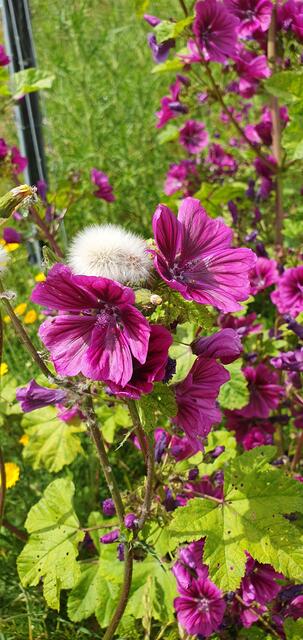 Foto: privat Sibylle Tröber