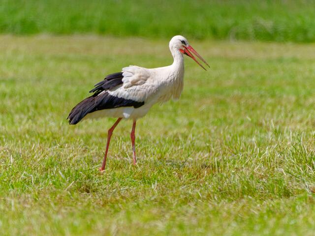 Foto: Eigenes Bild TB