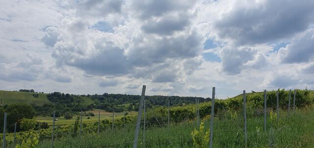 Foto: privat Sibylle Tröber