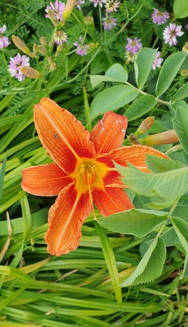 Foto: privat Sibylle Tröber