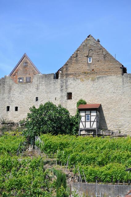 Stadtmauer mit Gärten davor. | Foto: Daniela Somers