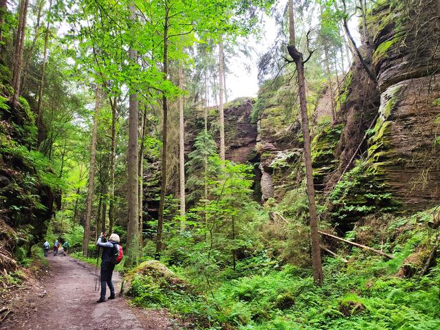 Imposante und tolle Felsenlandschaft im Uttewalder Grund.  | Foto: sigischlottke