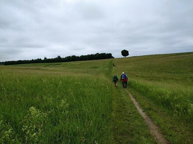Dann wieder ruhige Landschaft.  | Foto: sigischlottke