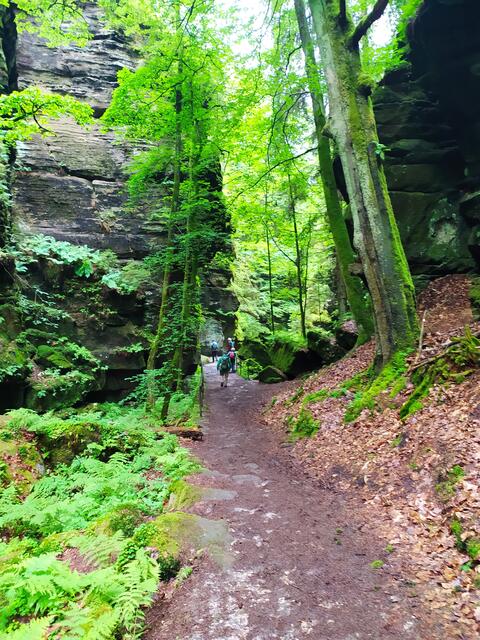So eine tolle Landschaft.  | Foto: sigischlottke