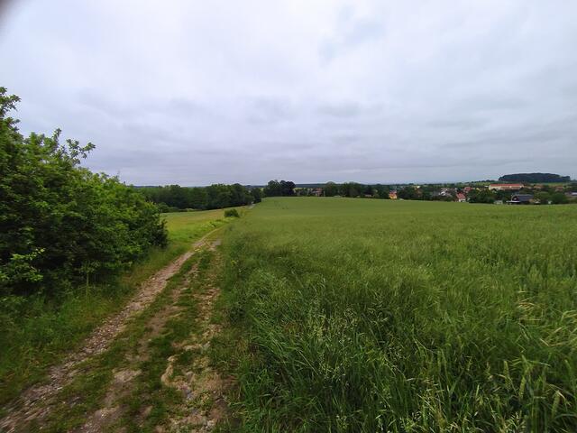 Durch weite Wiesen führt der Weg.  | Foto: sigischlottke