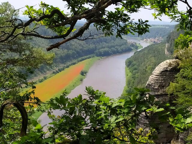 Ist das nicht ein herrlicher Blick hinunter zur Elbe?  | Foto: sigischlottke
