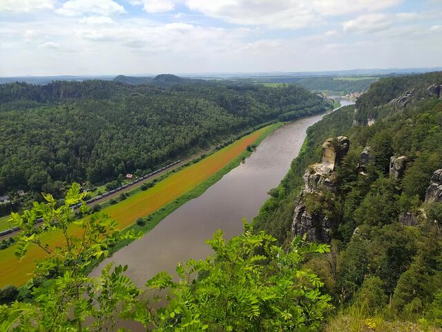 Der Blick hinunter auf die Elbe, das Tal und weit übers Land ist fantastisch. 
Links neben der Elbe blüht der Mohn | Foto: sigischlottke
