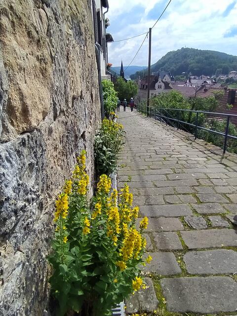 Idyllisch sieht es hier aus | Foto: sigischlottke