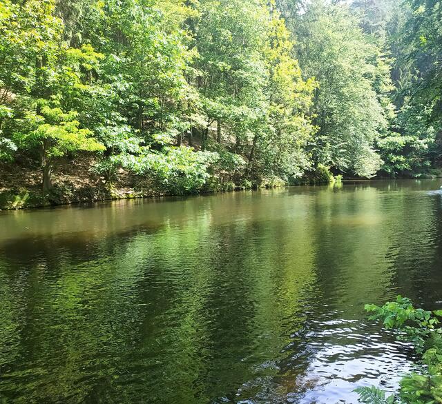 Der Amselsee im Amselgrund | Foto: sigischlottke