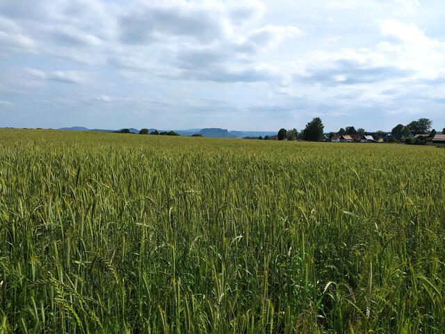Herrlicher Blick über weite Felder | Foto: sigischlottke
