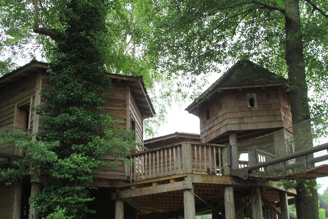 Weltvogelpark Walsrode🦜🦜🦜 | Foto: Ralf Röser