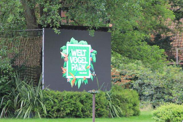 Weltvogelpark Walsrode🦜🦜🦜 | Foto: Ralf Röser