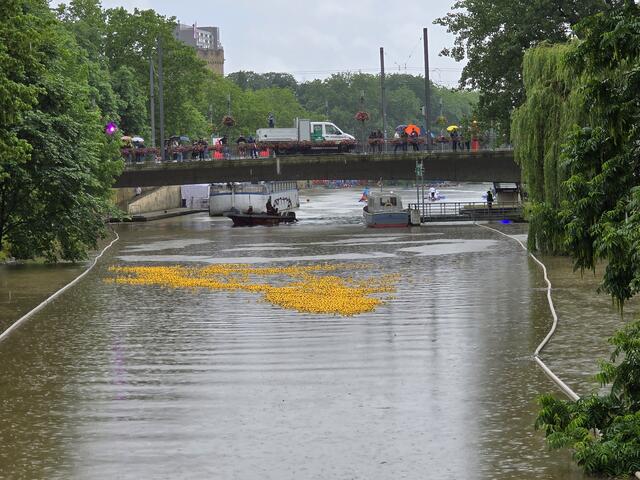 Und da kamen sie. | Foto: Heidrun Rosenberger