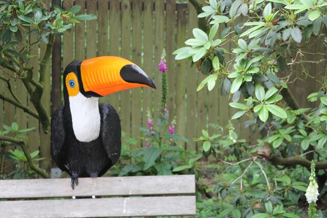 Weltvogelpark Walsrode🦜🦜🦜 | Foto: Ralf Röser