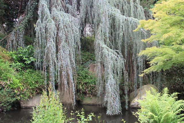 Weltvogelpark Walsrode🦜🦜🦜 | Foto: Ralf Röser