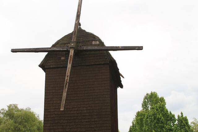 Weltvogelpark Walsrode🦜🦜🦜 | Foto: Ralf Röser