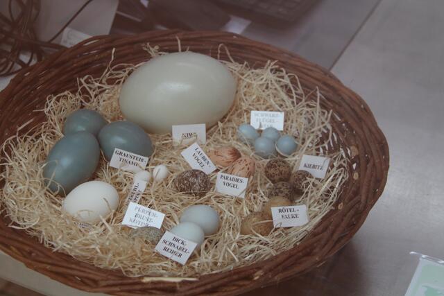 Weltvogelpark Walsrode🦜🦜🦜 | Foto: Ralf Röser