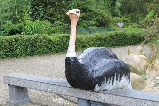 Weltvogelpark Walsrode🦜🦜🦜 | Foto: Ralf Röser