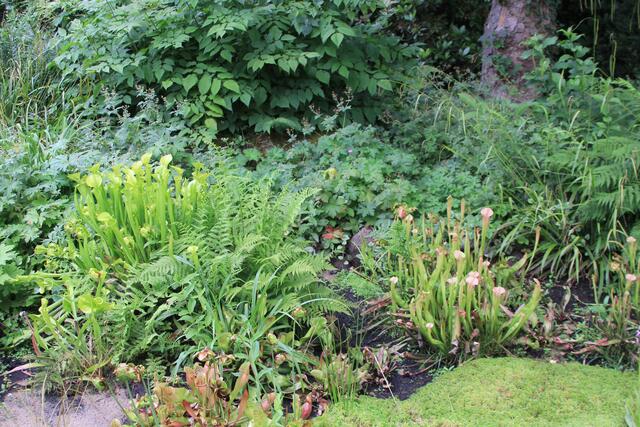 Weltvogelpark Walsrode🦜🦜🦜 | Foto: Ralf Röser