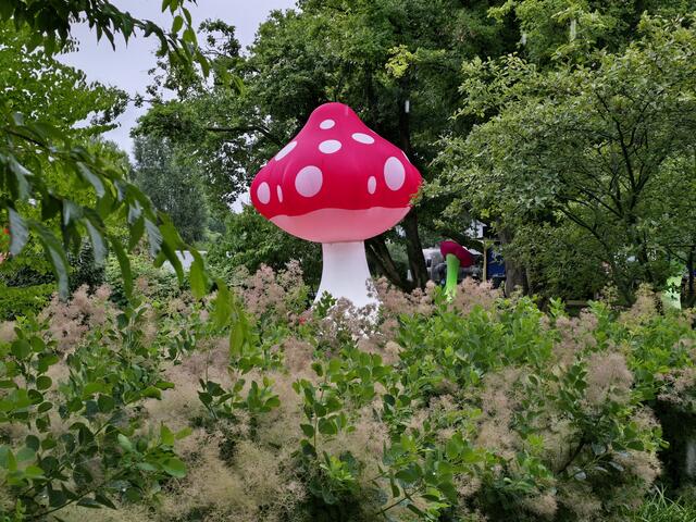 Foto: Heidrun Rosenberger