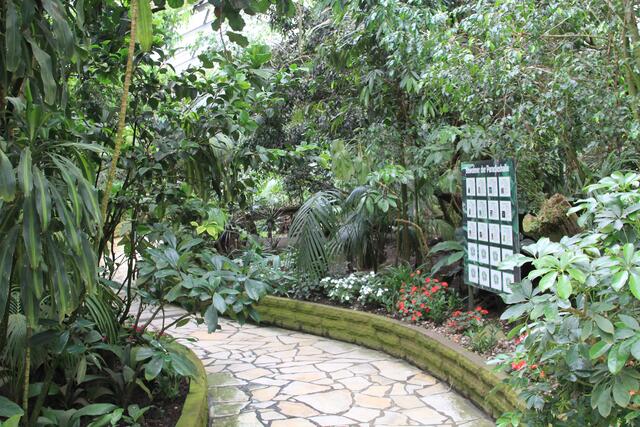 Weltvogelpark Walsrode🦜🦜🦜 | Foto: Ralf Röser