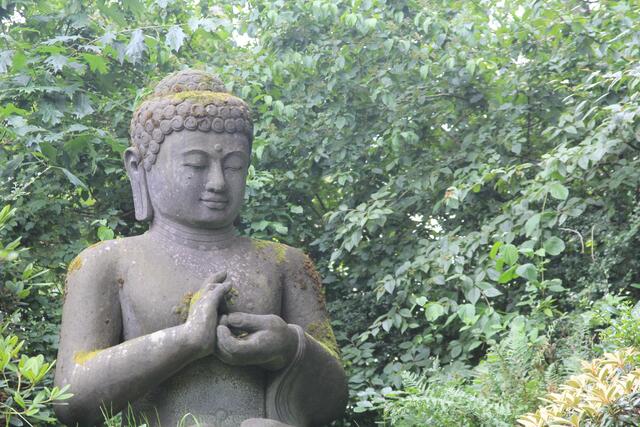 Weltvogelpark Walsrode🦜🦜🦜 | Foto: Ralf Röser