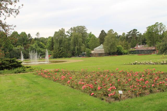Weltvogelpark Walsrode🦜🦜🦜 | Foto: Ralf Röser