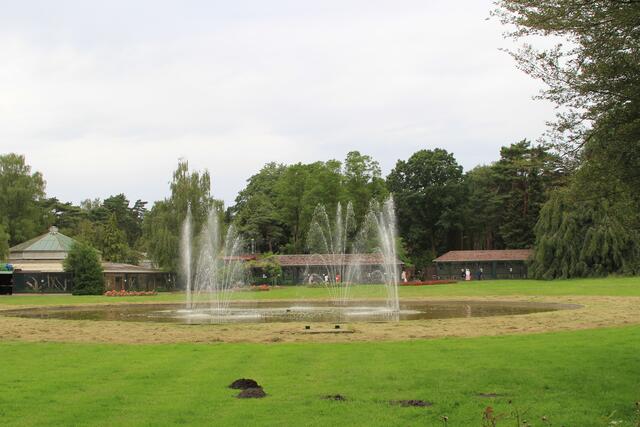Weltvogelpark Walsrode🦜🦜🦜 | Foto: Ralf Röser