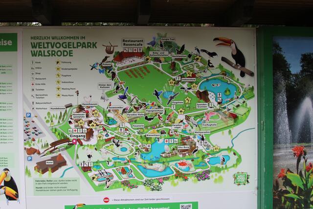 Weltvogelpark Walsrode🦜🦜🦜 | Foto: Ralf Röser