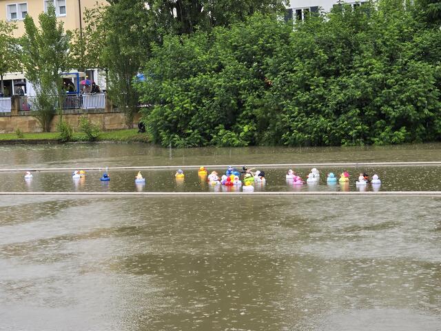 Die großen Enten als Vorboten. | Foto: Heidrun Rosenberger
