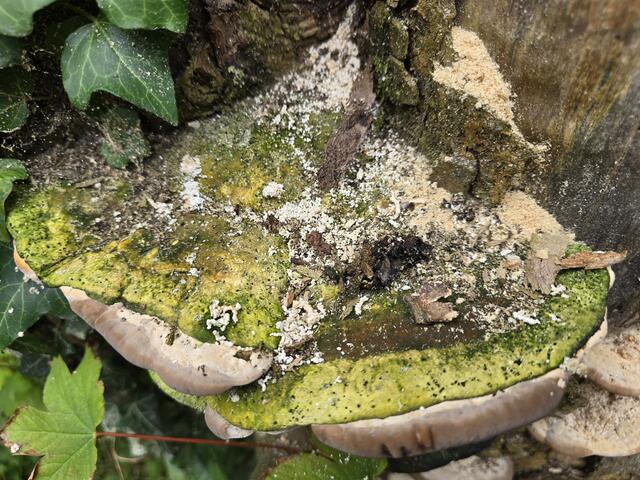 Foto: Heidrun Rosenberger