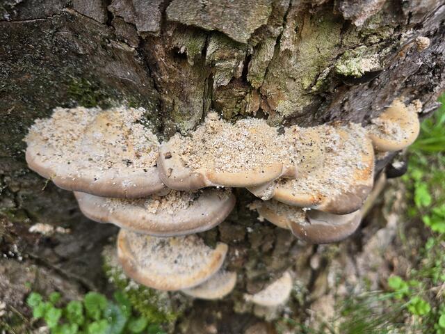 Foto: Heidrun Rosenberger