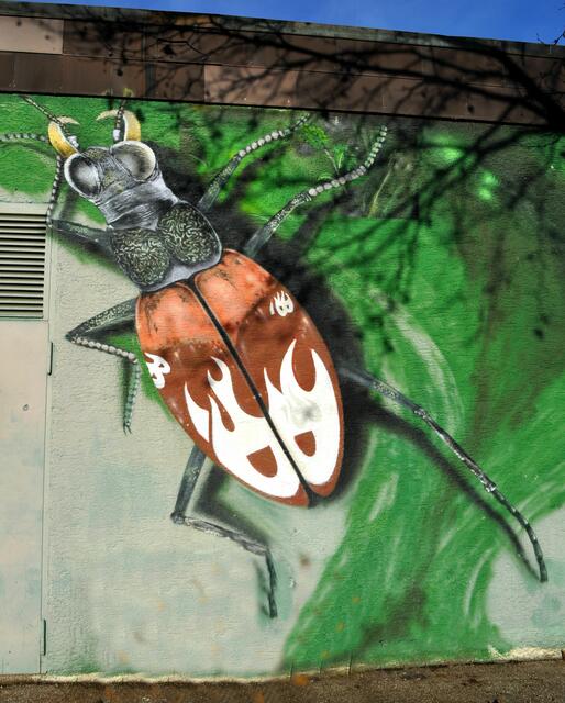 Eine der wenigen Ausnahmen in Heilbronn. Warum wird das so selten gemacht?  | Foto: Daniela Somers