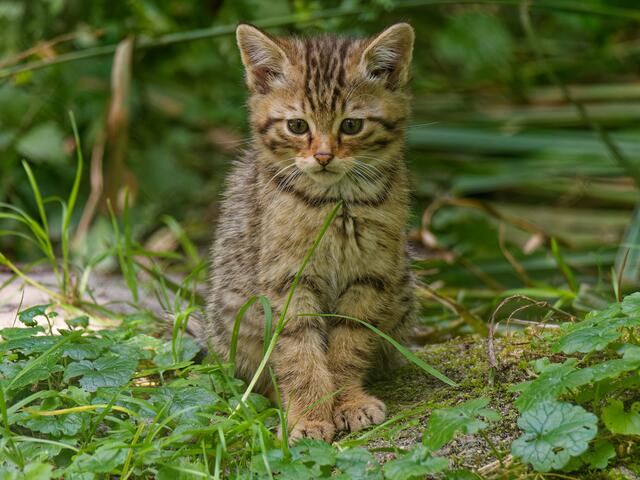 Foto: Eigenes Bild TB