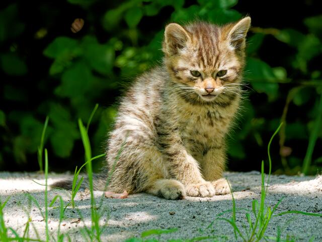Foto: Eigenes Bild TB