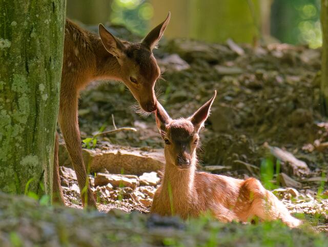 Foto: Eigenes Bild TB