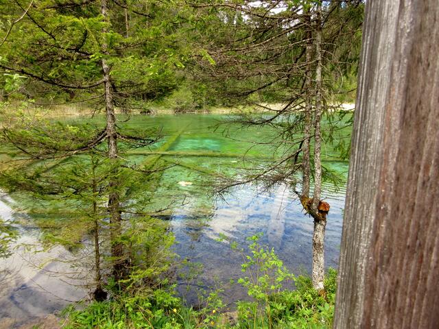 Unterirdische Quellen führen zu der intensiven grünen Farbe des Sees | Foto: WandernGabyErich