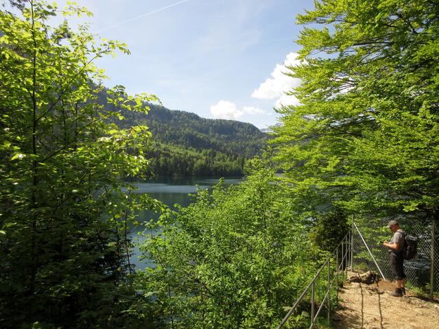 Alpsee | Foto: WandernGabyErich