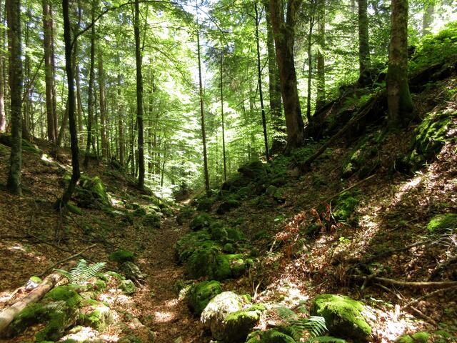 Man muss schon sehr aufpassen, wenn man den Grenzübertritt bemerken möchte.... es gibt kein Schild, dass darauf hinweist. | Foto: WandernGabyErich
